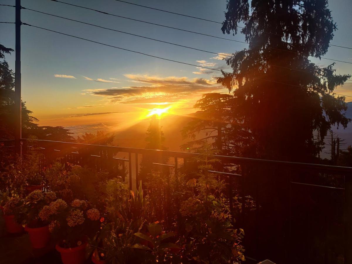 Hotel Smarthill Kalatop-Nature'S Heaven Dalhousie Exterior foto