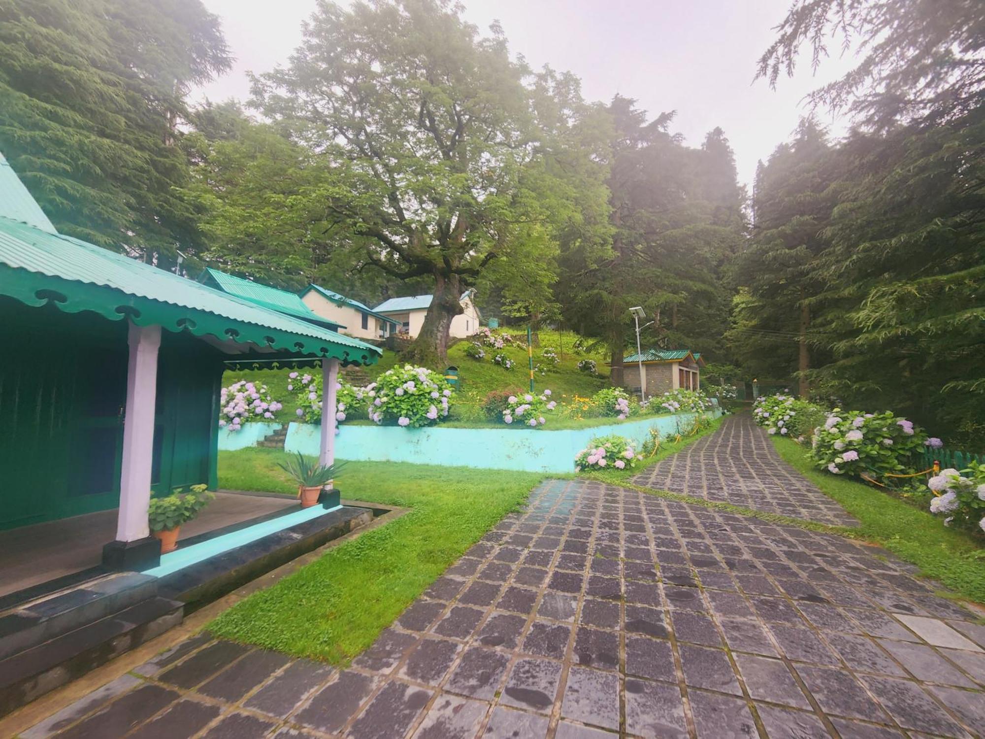 Hotel Smarthill Kalatop-Nature'S Heaven Dalhousie Exterior foto