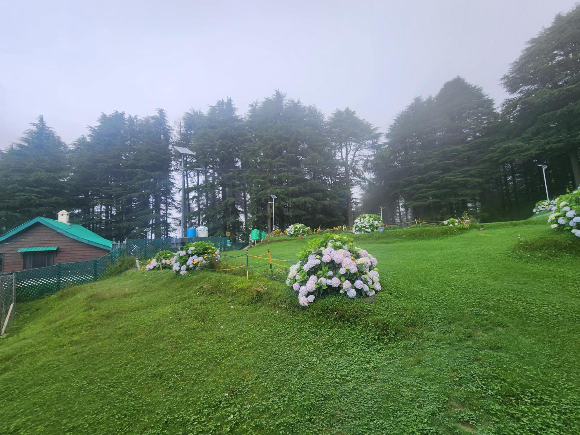 Hotel Smarthill Kalatop-Nature'S Heaven Dalhousie Exterior foto