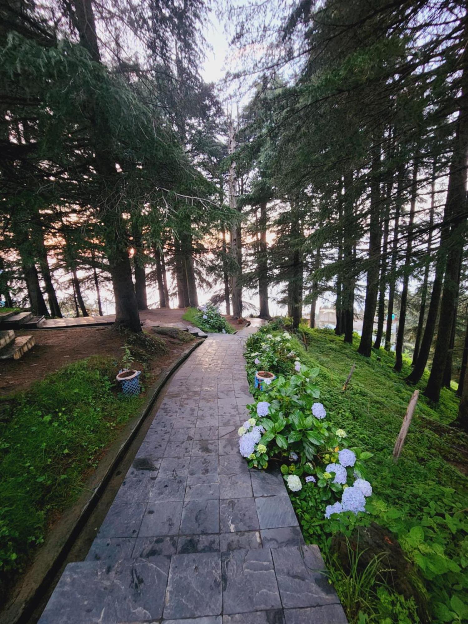 Hotel Smarthill Kalatop-Nature'S Heaven Dalhousie Exterior foto